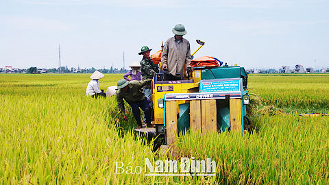 Cho vay phát triển nông nghiệp đang được các ngân hàng ưu tiên.