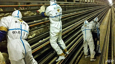 Ảnh minh hoạ/ Internet