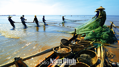 Kéo rùng - nghề khai thác hải sản truyền thống của ngư dân Giao Thuỷ 