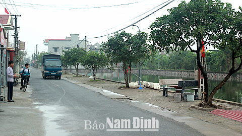 Hàng cây lộc vừng do Hội NCT Thị trấn Xuân Trường trồng và chăm sóc.