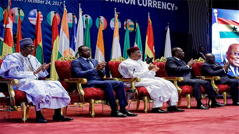 Hội nghị cấp cao ECOWAS tại Niger. (Ảnh: PRIMIUMTIMESNG.COM)