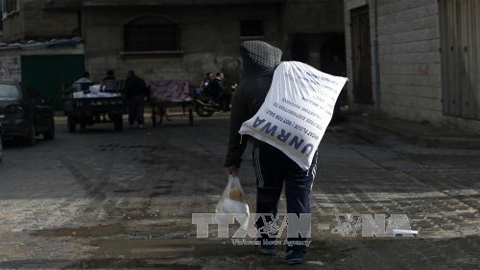 Người dân Palestine chuyển lương thực cứu trợ bên ngoài trung tâm phân phối lương thực của LHQ tại Gaza ngày 15/1. Ảnh: AFP/TTXVN