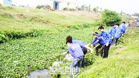 ĐVTN khối các trường đại học, cao đẳng dọn vệ sinh khơi thông dòng chảy mương tiêu tại KCN Hòa Xá (TP Nam Định).