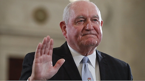 Bộ trưởng Nông nghiệp Mỹ Sonny Perdue. Ảnh: NPR.