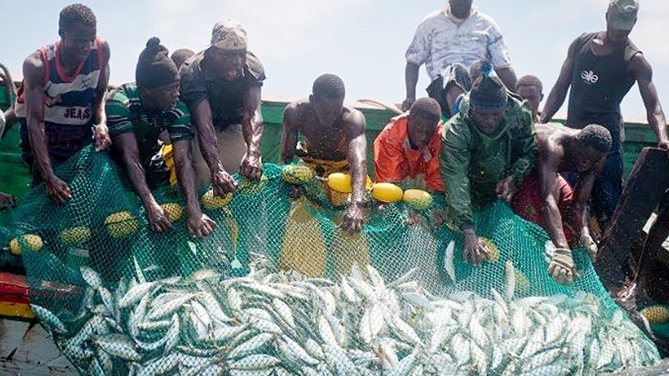 Ngư dân đánh bắt cá ngoài khơi bờ biển Senegal. Ảnh CNN