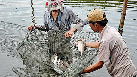 Ảnh minh họa - Internet