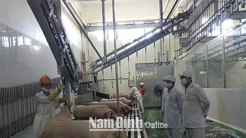 Đồng chí Nguyễn Phùng Hoan, Tỉnh ủy viên, Phó Chủ tịch UBND tỉnh (đứng giữa)  kiểm tra hoạt động sản xuất, chế biến thịt lợn công nghệ cao của Công ty Trách nhiệm hữu hạn Biển Đông.