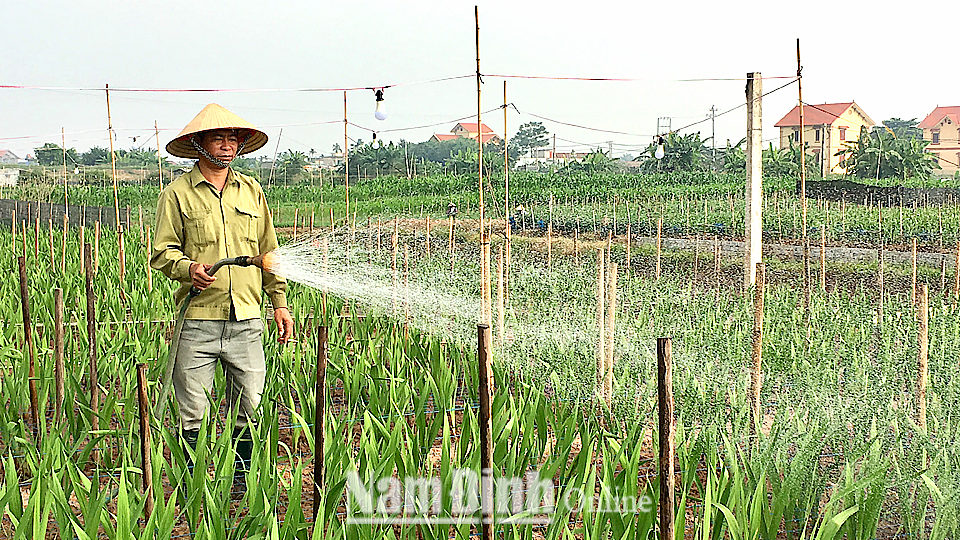 Tham khảo một số mô hình trang trại hữu cơ tại Việt Nam