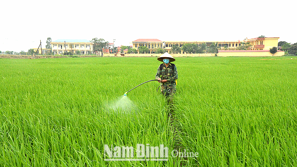 Bà con xã viên hợp tác xã Minh Tân (Vụ Bản) sử dụng thuốc bảo vệ thực vật theo nguyên tắc “4 đúng”: đúng thuốc, đúng liều lượng - nồng độ, đúng lúc, đúng cách để đảm bảo vệ sinh an toàn thực phẩm và môi trường sinh thái.