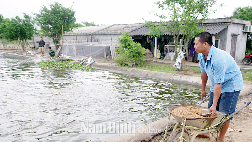 Mô hình VAC của hội viên Nguyễn Văn Quý, thôn Vậy, xã Cộng Hòa cho doanh thu trên 100 triệu đồng/năm.