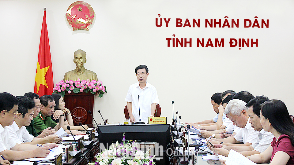 Đồng chí Phạm Đình Nghị, Phó Bí thư Tỉnh ủy, Chủ tịch UBND tỉnh phát biểu tại hội nghị.