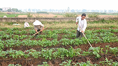 Ảnh minh họa - Internet