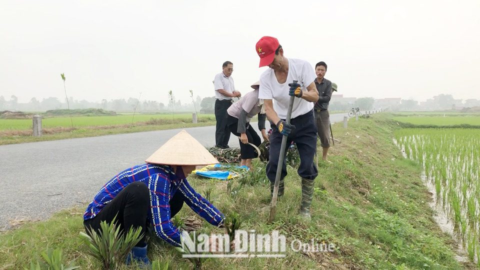 Hội Nông dân xã Mỹ Thịnh trồng hoa trên tuyến đường liên xã Thịnh - Thắng.