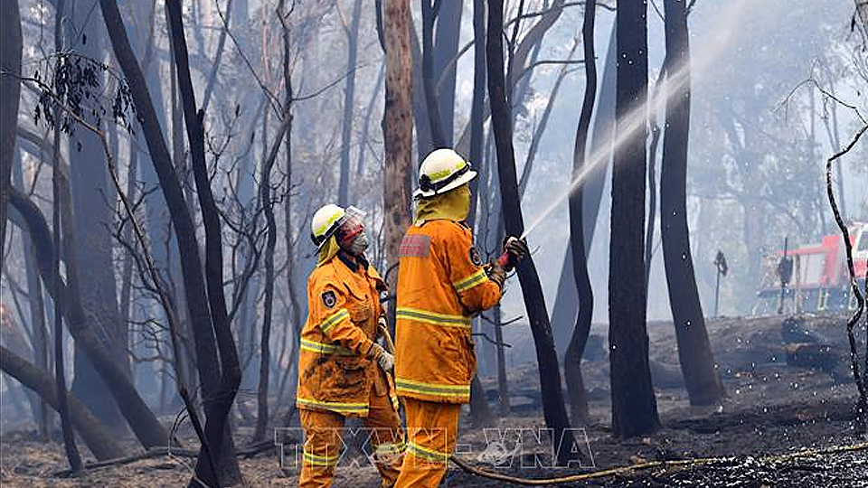 Lực lượng cứu hỏa nỗ lực dập lửa cháy rừng tại Dargan, Australia, ngày 18/12/2019. Ảnh: AFP/ TTXVN