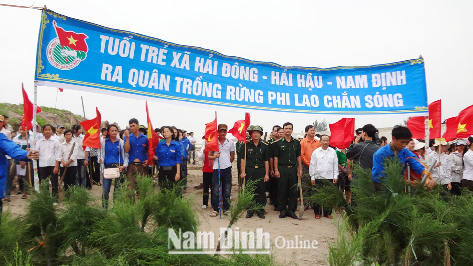 Tuổi trẻ xã Hải Đông ra quân trồng rừng phi lao chắn sóng.  Ảnh: Do cơ sở cung cấp