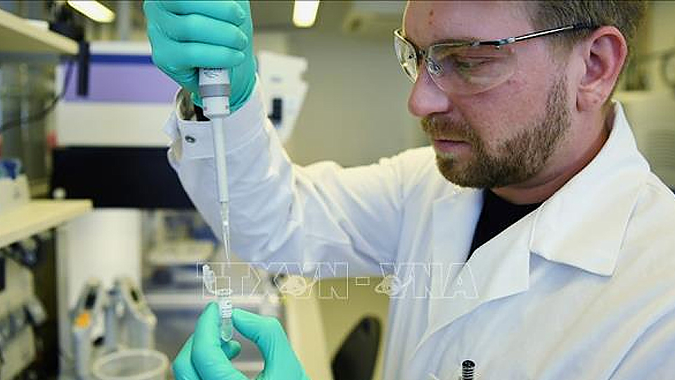 Nhà nghiên cứu bào chế vaccine phòng bệnh COVID-19 tại một phòng thí nghiệm ở Tuebingen, Đức ngày 12/3/2020. Ảnh: Reuters/TTXVN