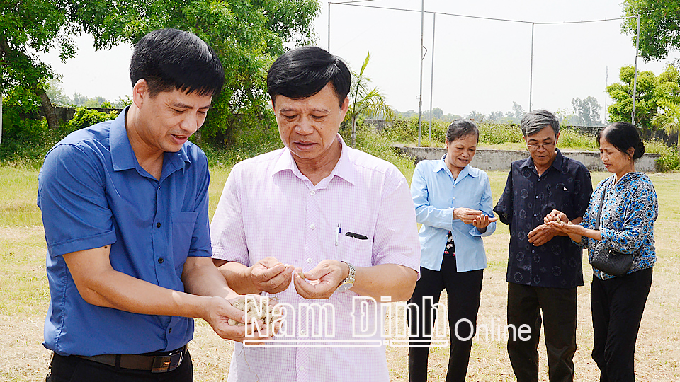 Kiểm tra chất lượng lạc nguyên liệu phục vụ các cơ sở ép tinh dầu thực vật tại xã Yên Cường.