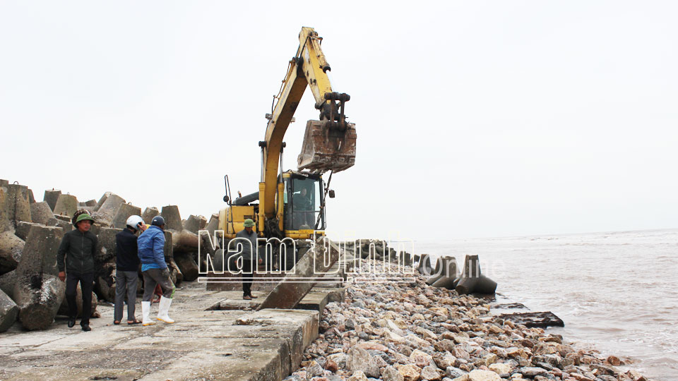 Tu sửa đoạn đê Cồn Tròn địa phận xã Hải Hòa bị sập, sạt do bão trong tháng 10-2020.  Bài và ảnh: Ngọc Ánh