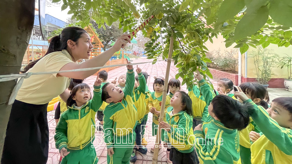 Học sinh Trường Mầm non Sao Vàng (thành phố Nam Định) trong giờ học trải nghiệm tại “Vườn rau của bé” (Ảnh chụp trước ngày 27-4-2021).