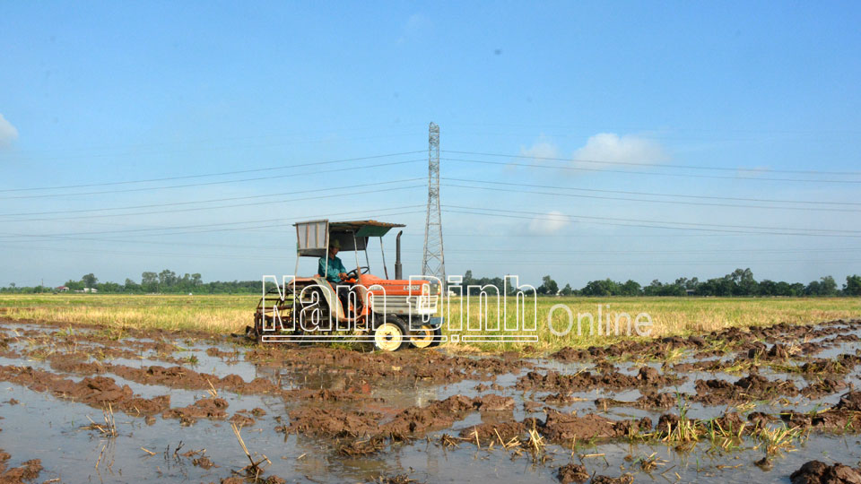 Nông dân xã Liên Bảo (Vụ Bản) làm đất gieo cấy lúa mùa.