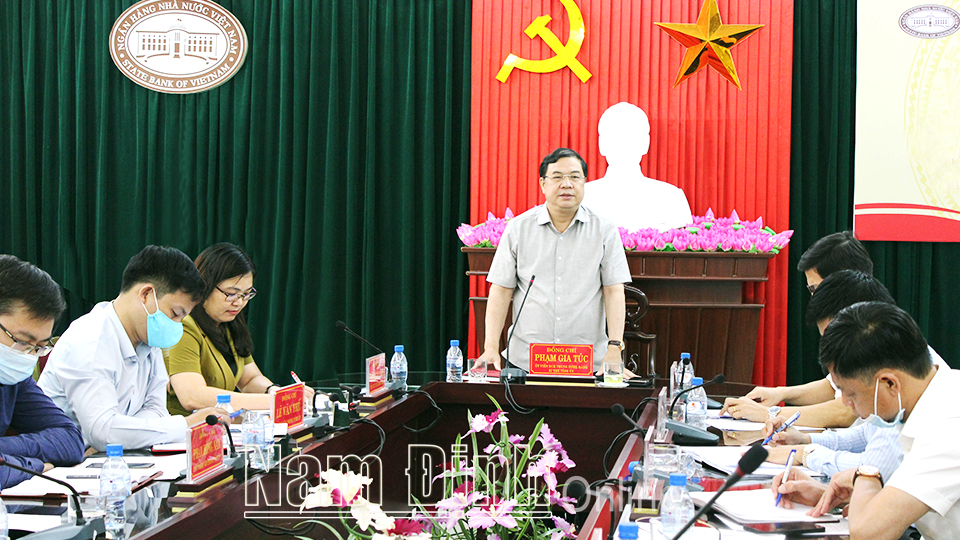 Đồng chí Phạm Gia Túc, Ủy viên BCH Trung ương Đảng, Bí thư Tỉnh ủy phát biểu tại hội nghị.