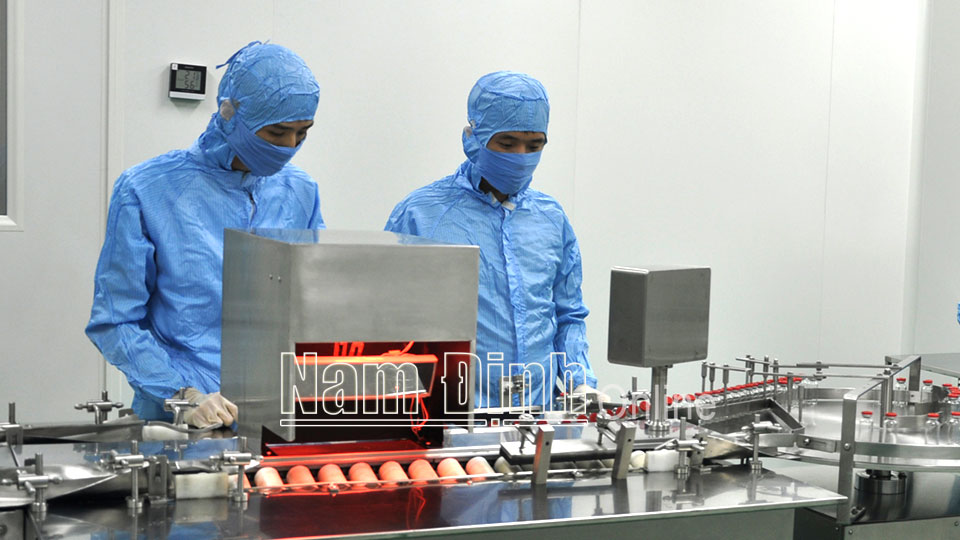 Sản xuất thuốc kháng sinh tại Công ty Cổ phần Dược phẩm Minh Dân (KCN Hòa Xá, thành phố Nam Định).