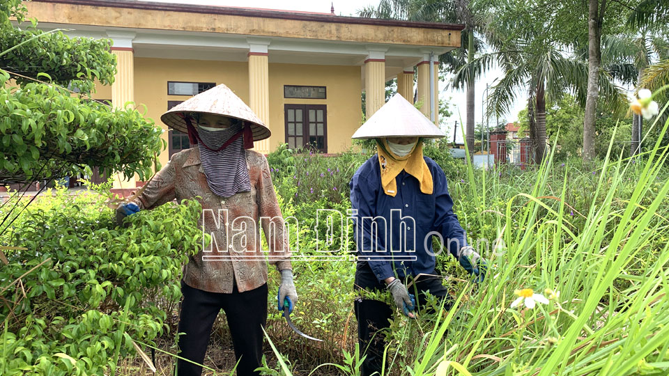 Thu dọn vệ sinh, cải tạo cảnh quan môi trường tại xã Yên Tiến   (Ý Yên).