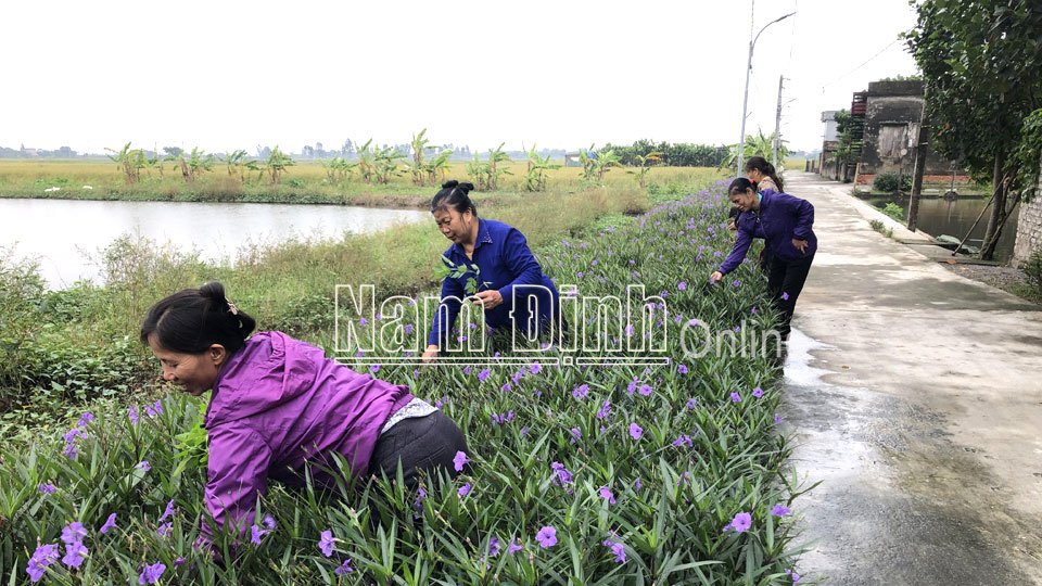 Hội viên phụ nữ xã Yên Khang chăm sóc tuyến đường hoa do Hội Phụ nữ tự quản (Ảnh chụp trước ngày 27-4-2021).