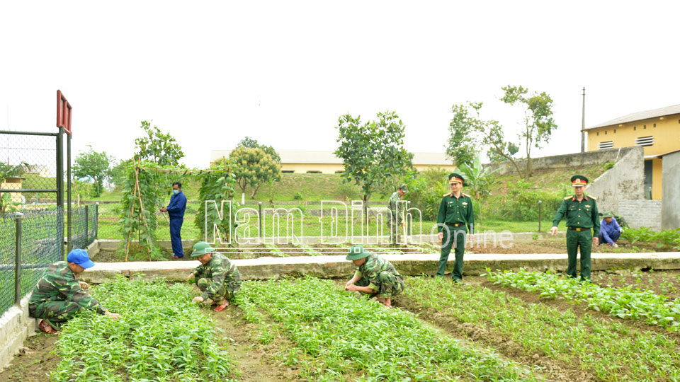 Đẩy mạnh tăng gia sản xuất nhằm bổ sung nguồn thực phẩm đảm bảo an toàn ở Bộ Chỉ huy Quân sự tỉnh.