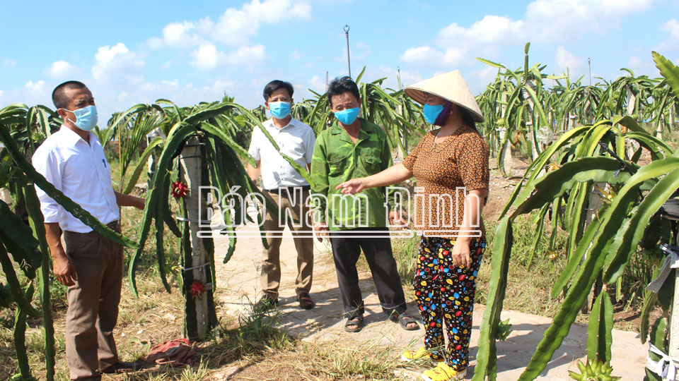 Trang trại tổng hợp của gia đình hội viên Đỗ Văn Hạnh cho thu nhập hàng trăm triệu đồng/năm.