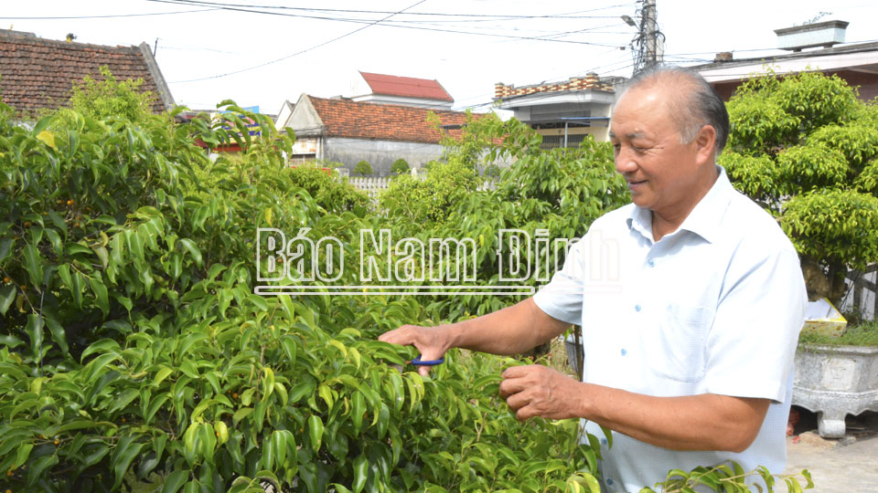 Kinh tế sinh vật cảnh đang mang lại nguồn thu nhập ổn định cho gia đình ông Trần Đức Hiệt, xã Nghĩa Lạc (Nghĩa Hưng).