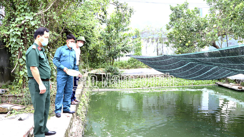 Tham quan mô hình nuôi cá chuối hoa của anh Tống Văn Kiên, sĩ quan dự bị động viên ở xóm 1, xã Nghĩa Minh.