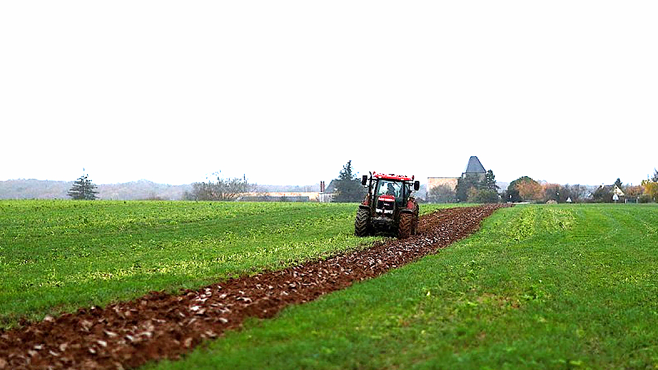 Một cánh đồng ở Villeneuve-sur-Auvers, gần Paris, Pháp. (Ảnh: Reuters)