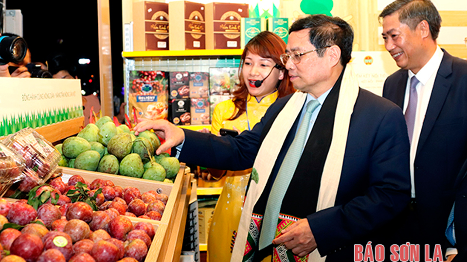 Thủ tướng Chính phủ cùng các đại biểu tham quan các gian hàng giới thiệu sản phẩm trái cây và sản phẩm OCOP.