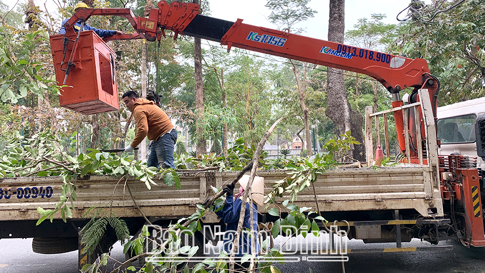 Công ty Cổ phần Công trình đô thị Nam Định chặt hạ cành cây lớn có nguy cơ gẫy đổ khi mưa bão đảm bảo an toàn cho người và phương tiện lưu thông.  Bài và ảnh: Thanh thúy