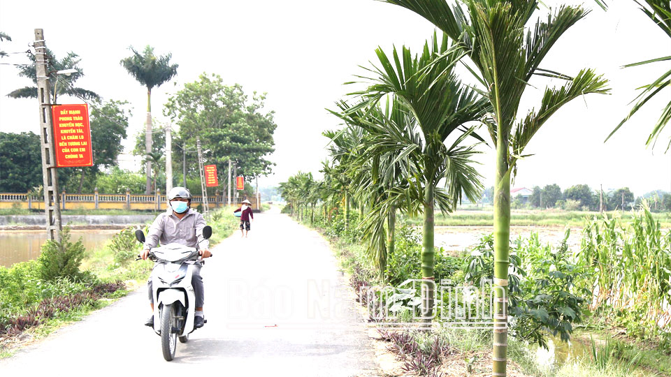 Hàng cây xanh do chi Hội Phụ nữ và câu lạc bộ cựu quân nhân thôn Nội Chế tự quản.