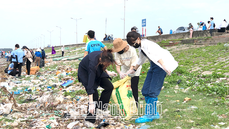 Học sinh, sinh viên và các tình nguyện viên tham gia làm sạch bãi biển khu vực bến cá xã Giao Hải (Giao Thủy).