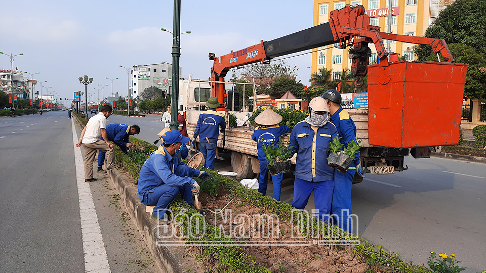 Công nhân Công ty Cổ phần Công trình đô thị Nam Định trang trí dải phân cách trên đường Võ Nguyên Giáp