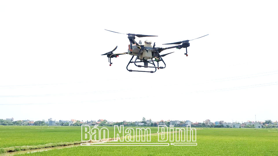 Sử dụng thiết bị bay không người lái phun thuốc bảo vệ thực vật tại cánh đồng xã Việt Hùng (Trực Ninh).