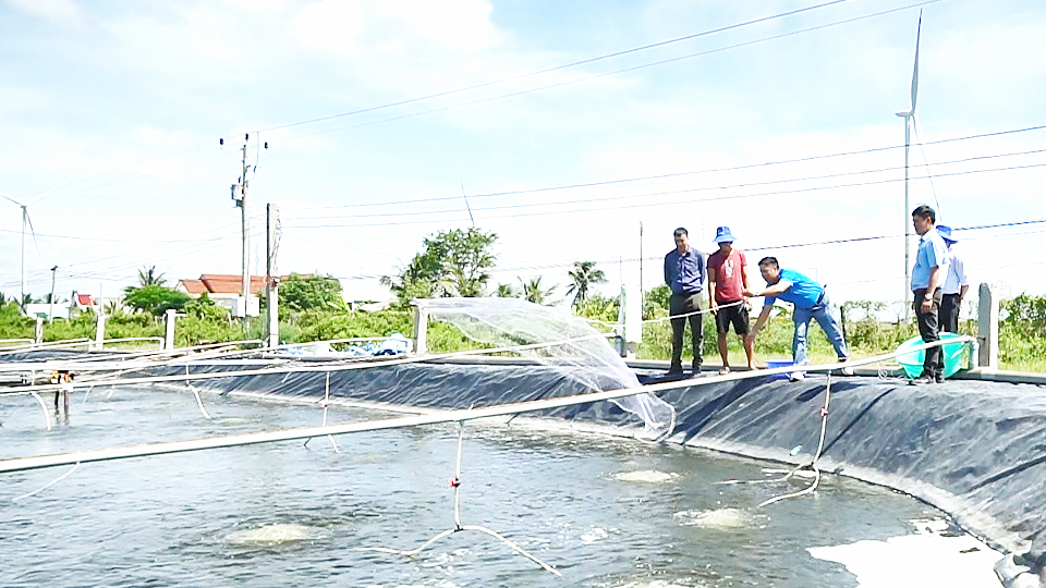 Mô hình nuôi tôm công nghệ GroFarm tại TX Vĩnh Châu, tỉnh Sóc Trăng