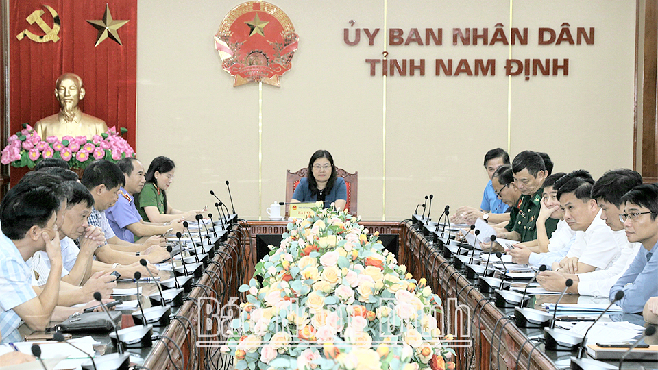 Đồng chí Hà Lan Anh, TUV, Phó Chủ tịch UBND tỉnh và các đại biểu dự hội nghị tại điểm cầu tỉnh Nam Định.