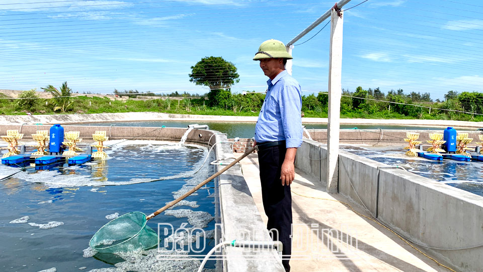 Huyện Hải Hậu đẩy mạnh hỗ trợ người dân đầu tư nuôi tôm theo quy trình công nghệ cao, gia tăng hiệu quả kinh tế.