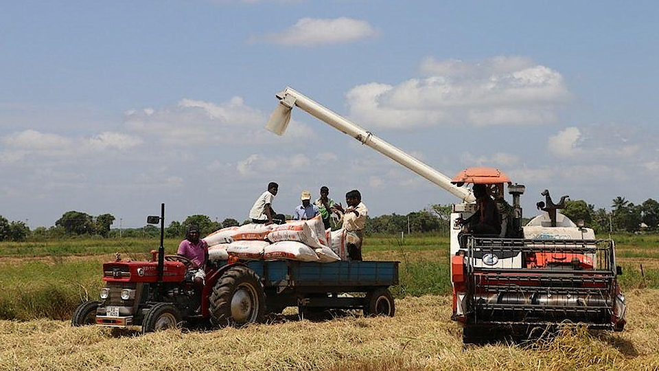 ADB hỗ trợ nông dân cải thiện sinh kế. (Ảnh ADB.ORG)