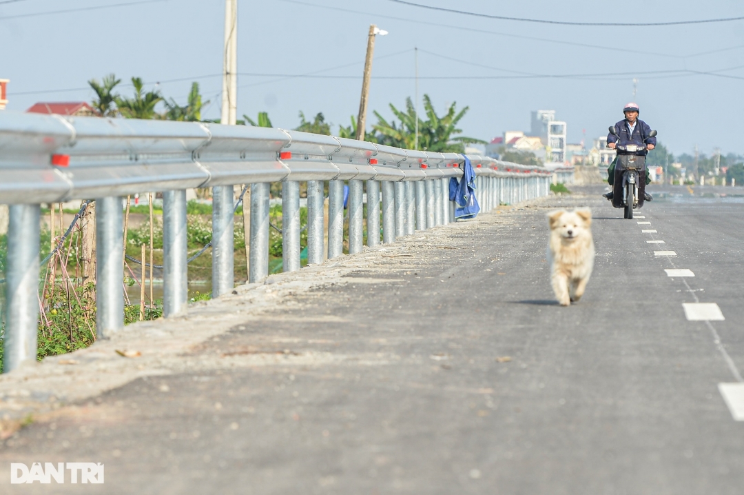 Hình thù tuyến đường bộ ven biển qua Nam Định trị giá gần 2.700 tỷ đồng - 11
